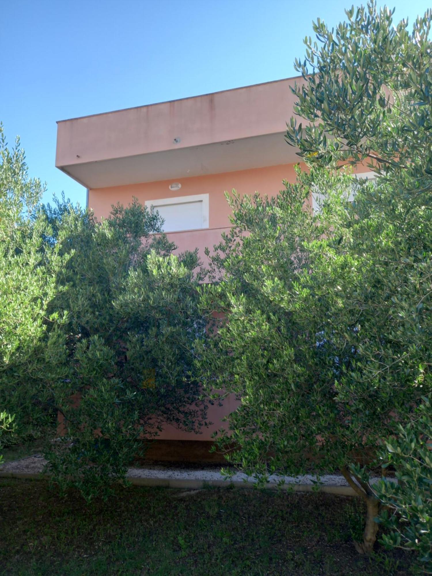 Dani Apartment Zadar Bagian luar foto