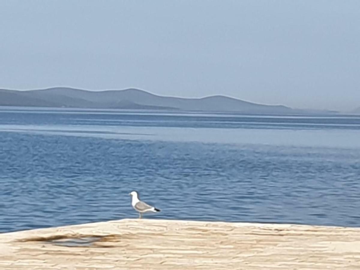 Dani Apartment Zadar Bagian luar foto